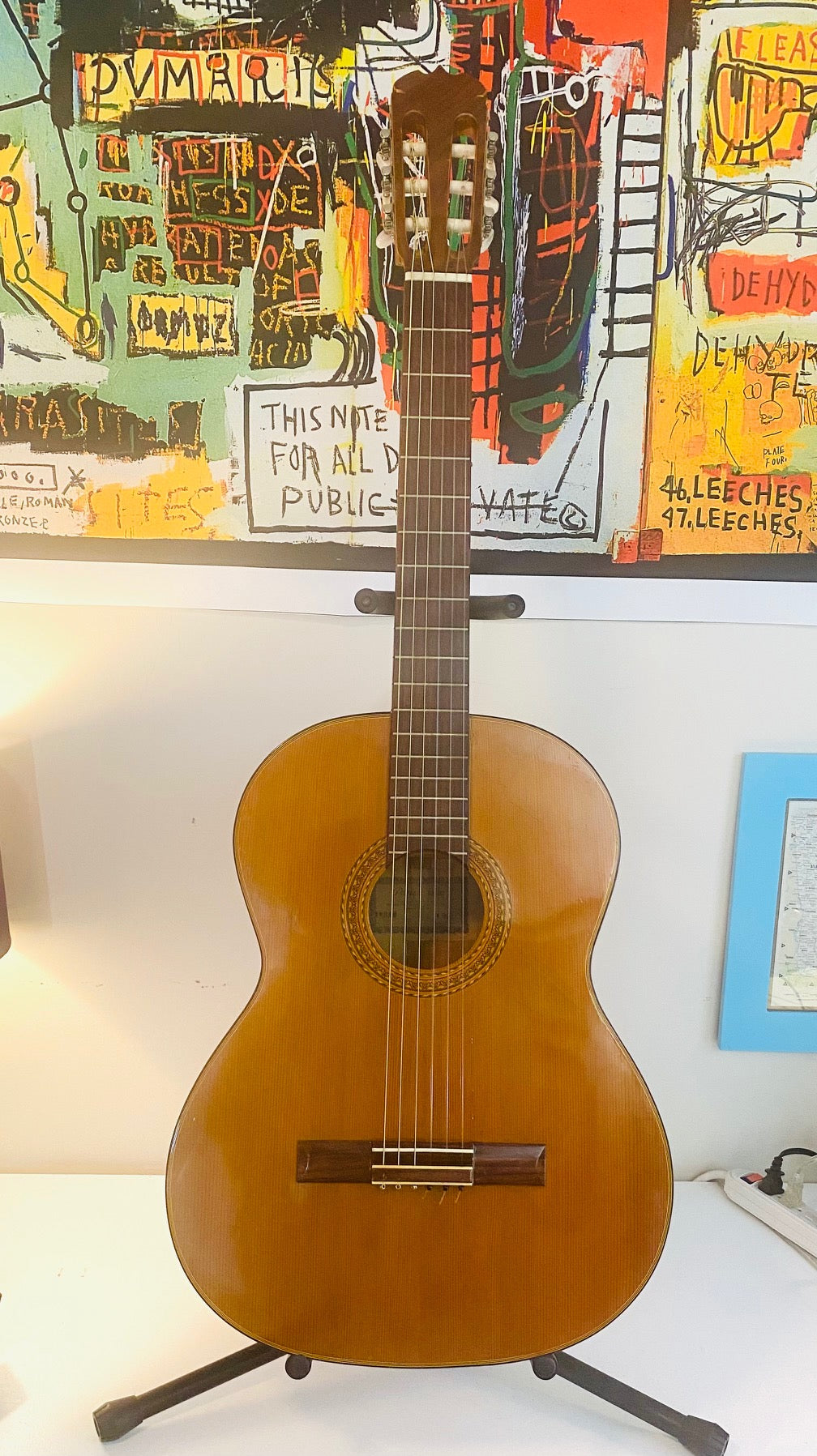 Penco guitars clearance for sale