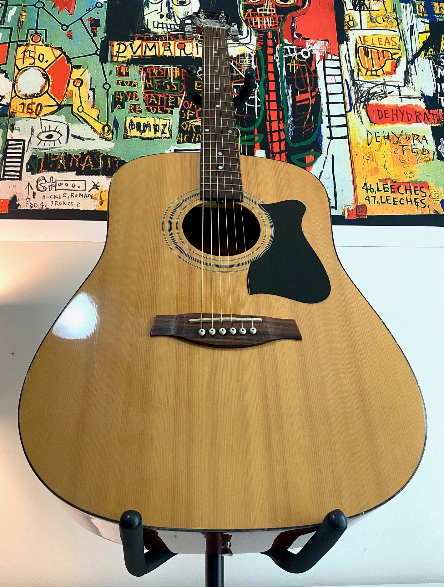 Ibanez IJV50-NT 3U-02 Acoustic Guitar