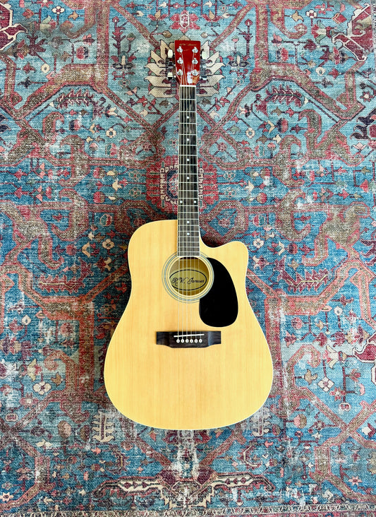 RW Jameson Acoustic Electric Guitar