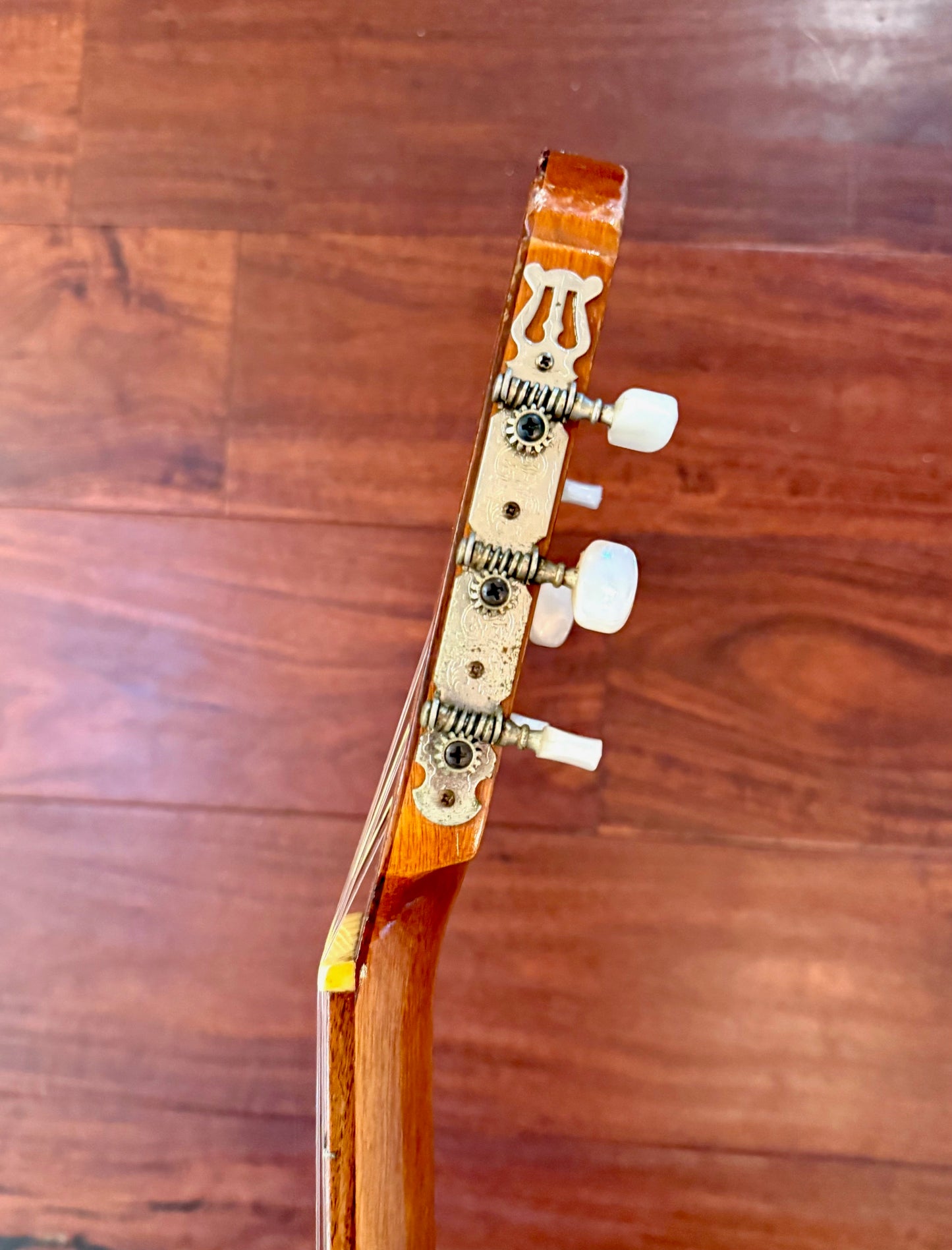 Vintage Epiphone EC-20 MIJ Classical Guitar Japan 1970's