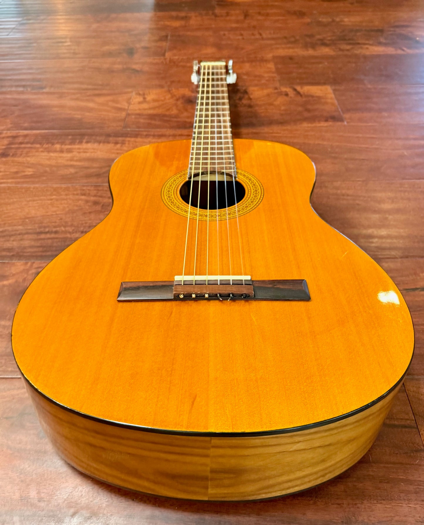 Takamine Jasmine C-22 Classical Acoustic Guitar