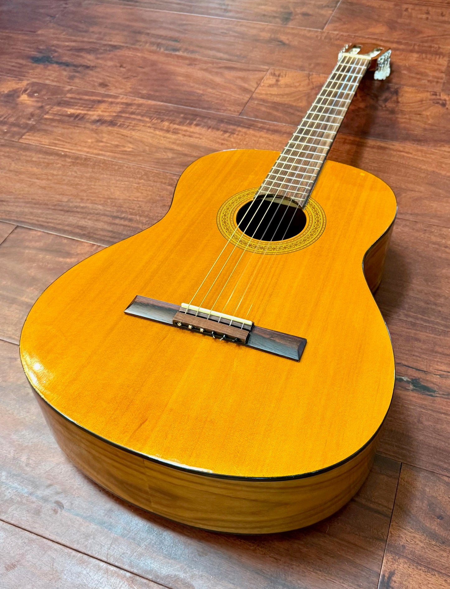 Takamine Jasmine C-22 Classical Acoustic Guitar