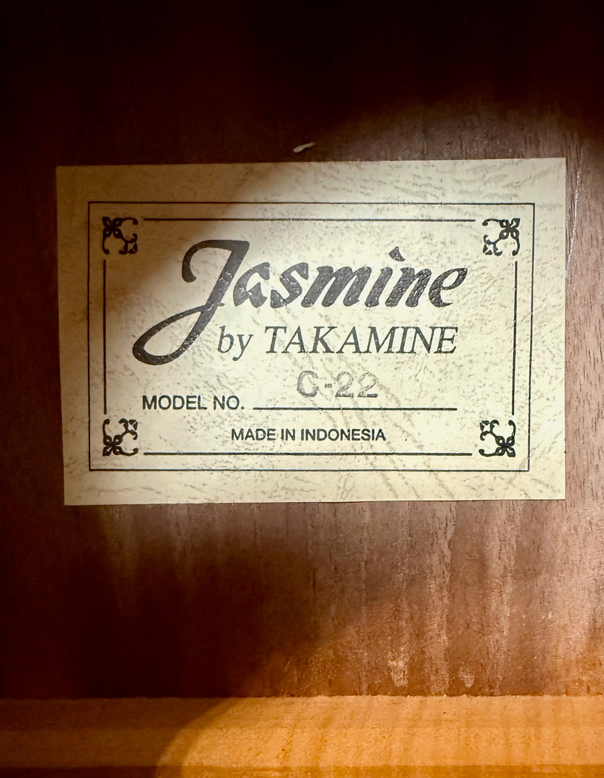 Takamine Jasmine C-22 Classical Acoustic Guitar