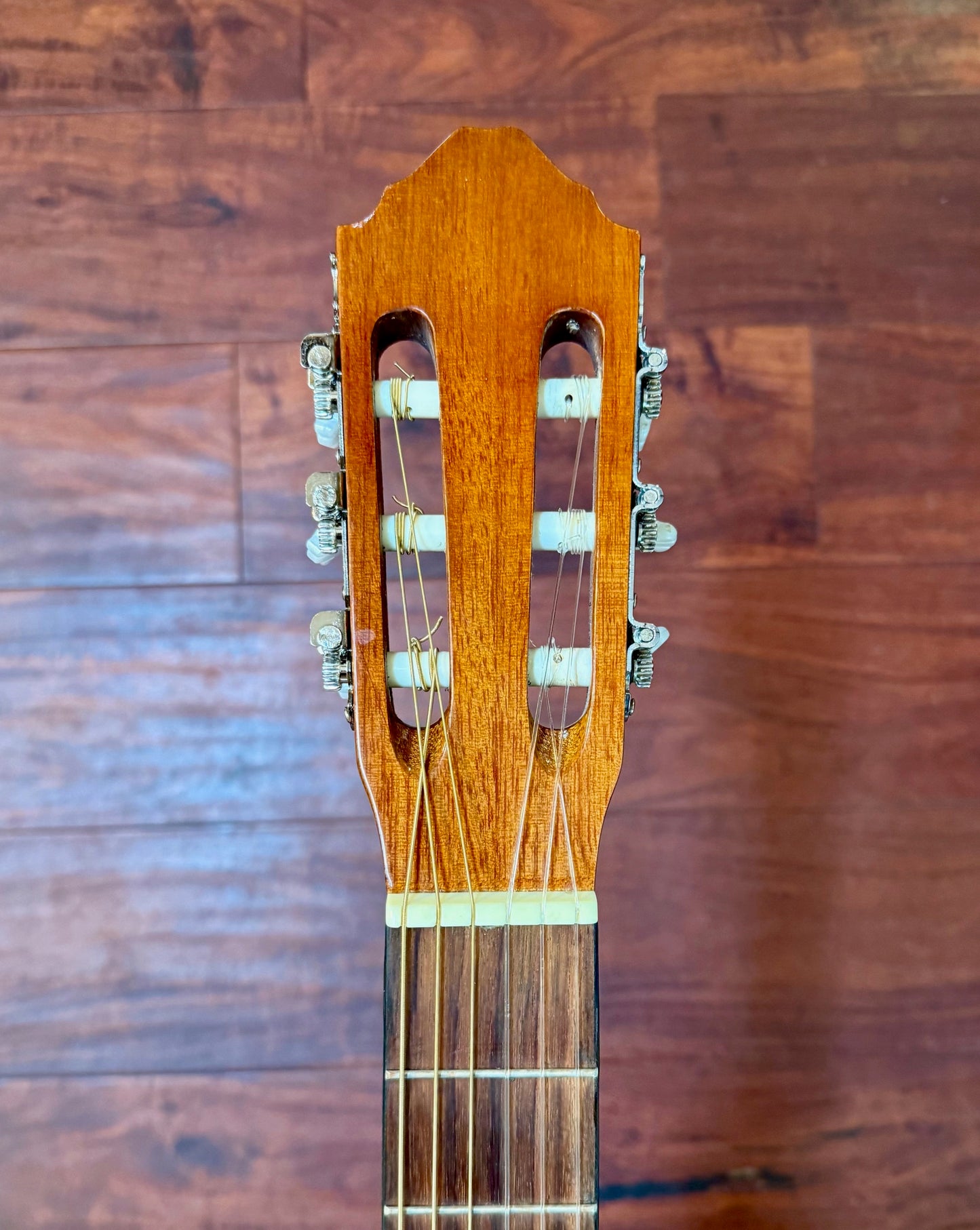 Takamine Jasmine C-22 Classical Acoustic Guitar