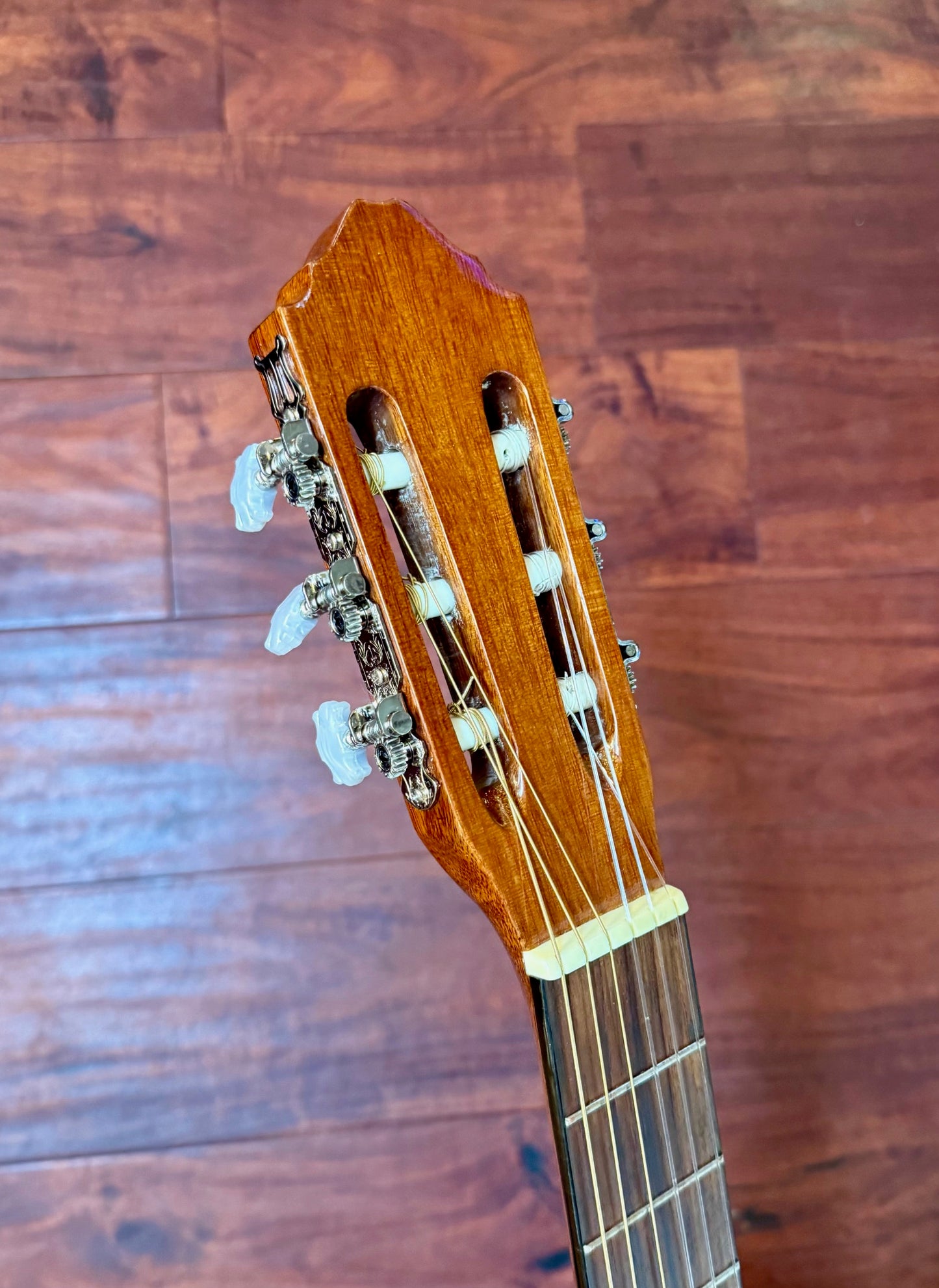 Takamine Jasmine C-22 Classical Acoustic Guitar