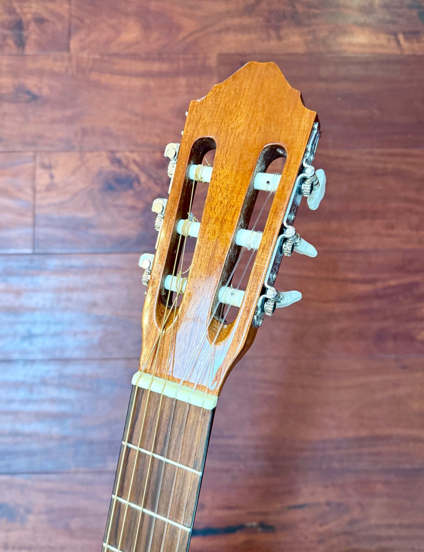Takamine Jasmine C-22 Classical Acoustic Guitar