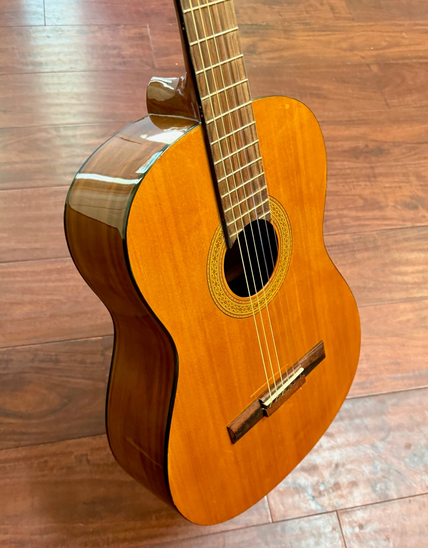 Takamine Jasmine C-22 Classical Acoustic Guitar