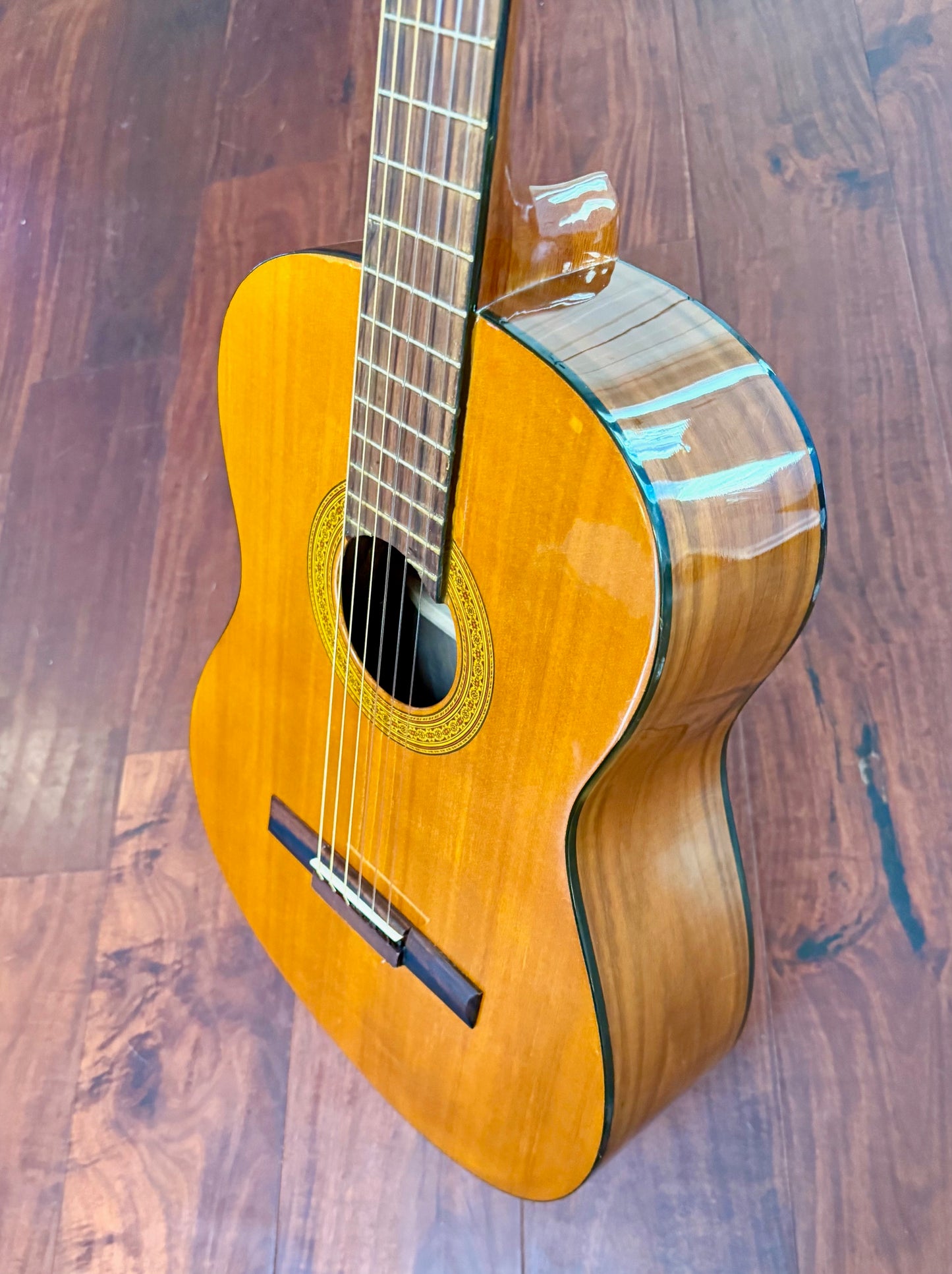 Takamine Jasmine C-22 Classical Acoustic Guitar