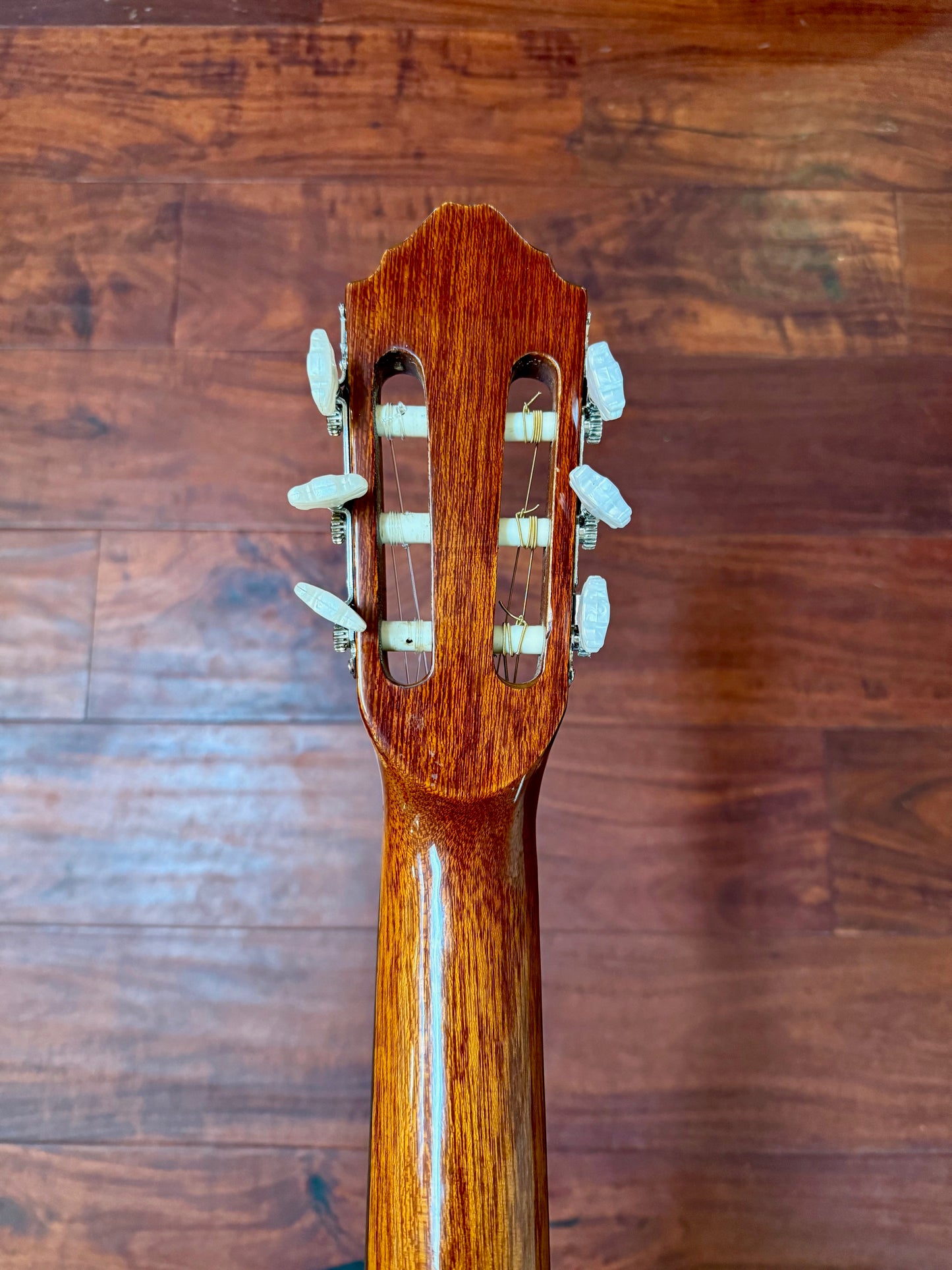Takamine Jasmine C-22 Classical Acoustic Guitar