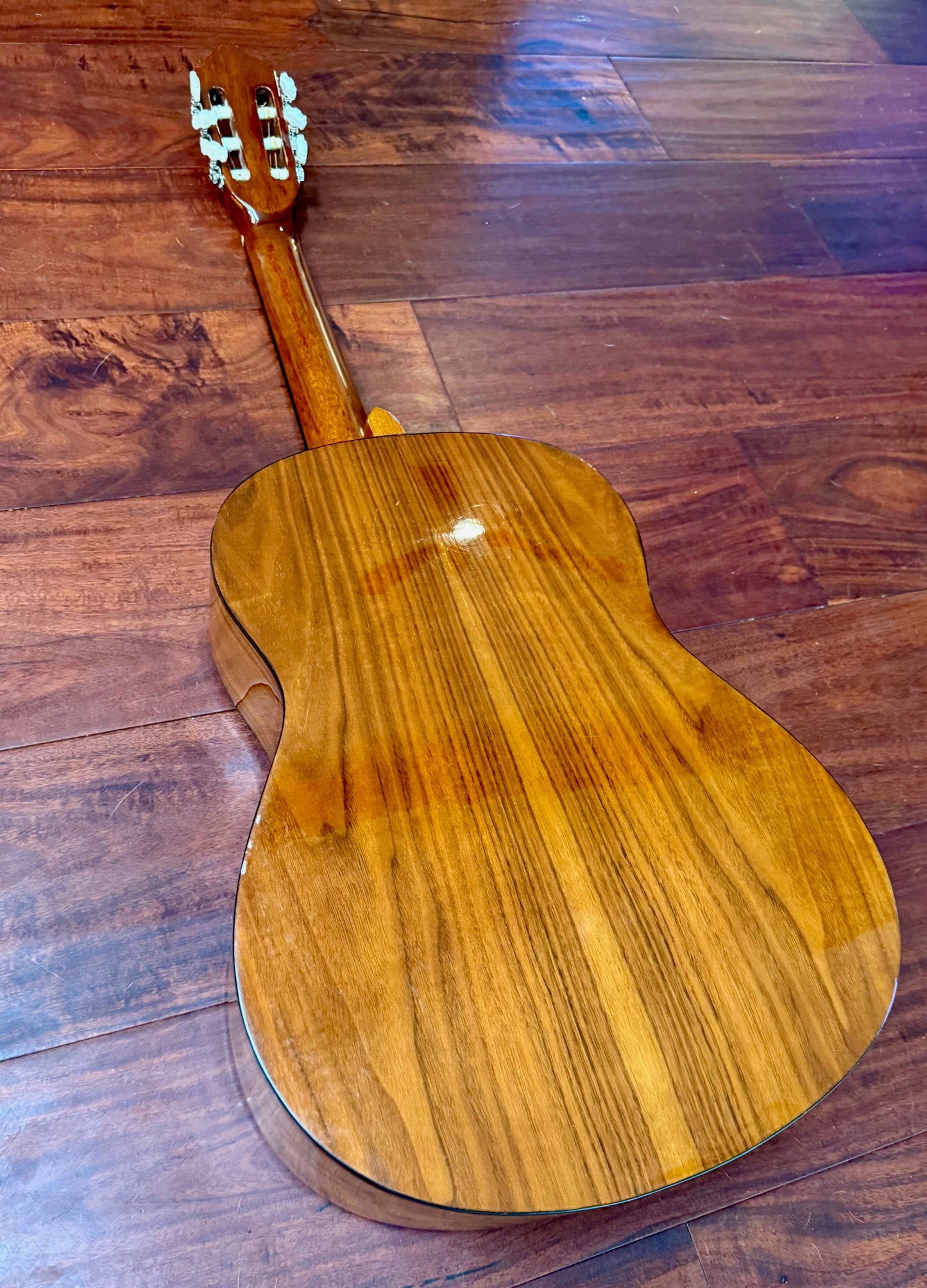 Takamine Jasmine C-22 Classical Acoustic Guitar