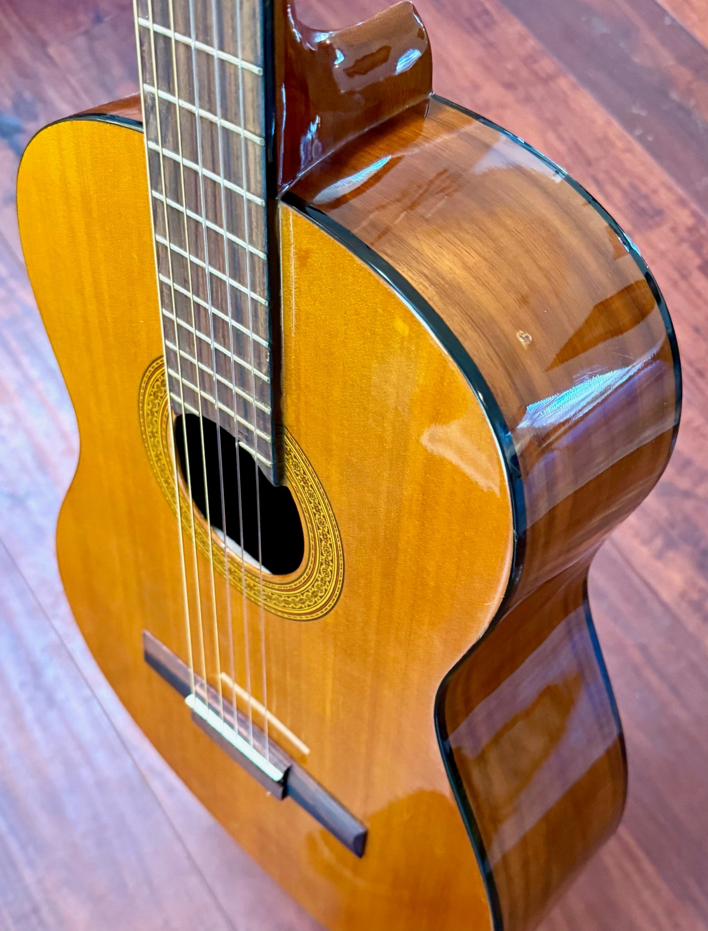 Takamine Jasmine C-22 Classical Acoustic Guitar