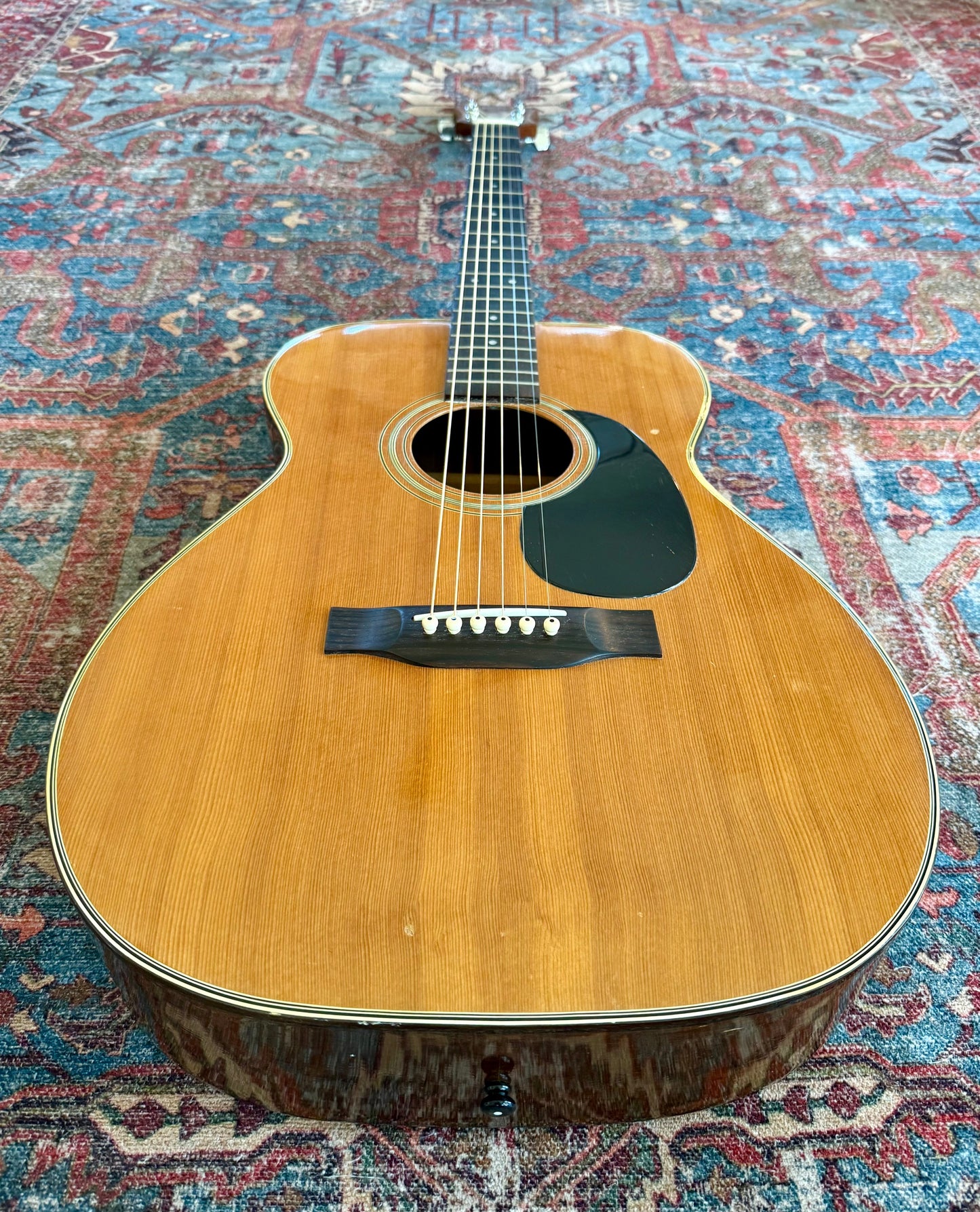 Vintage Epiphone Epi A-10 Norlin 1980 Rare Model