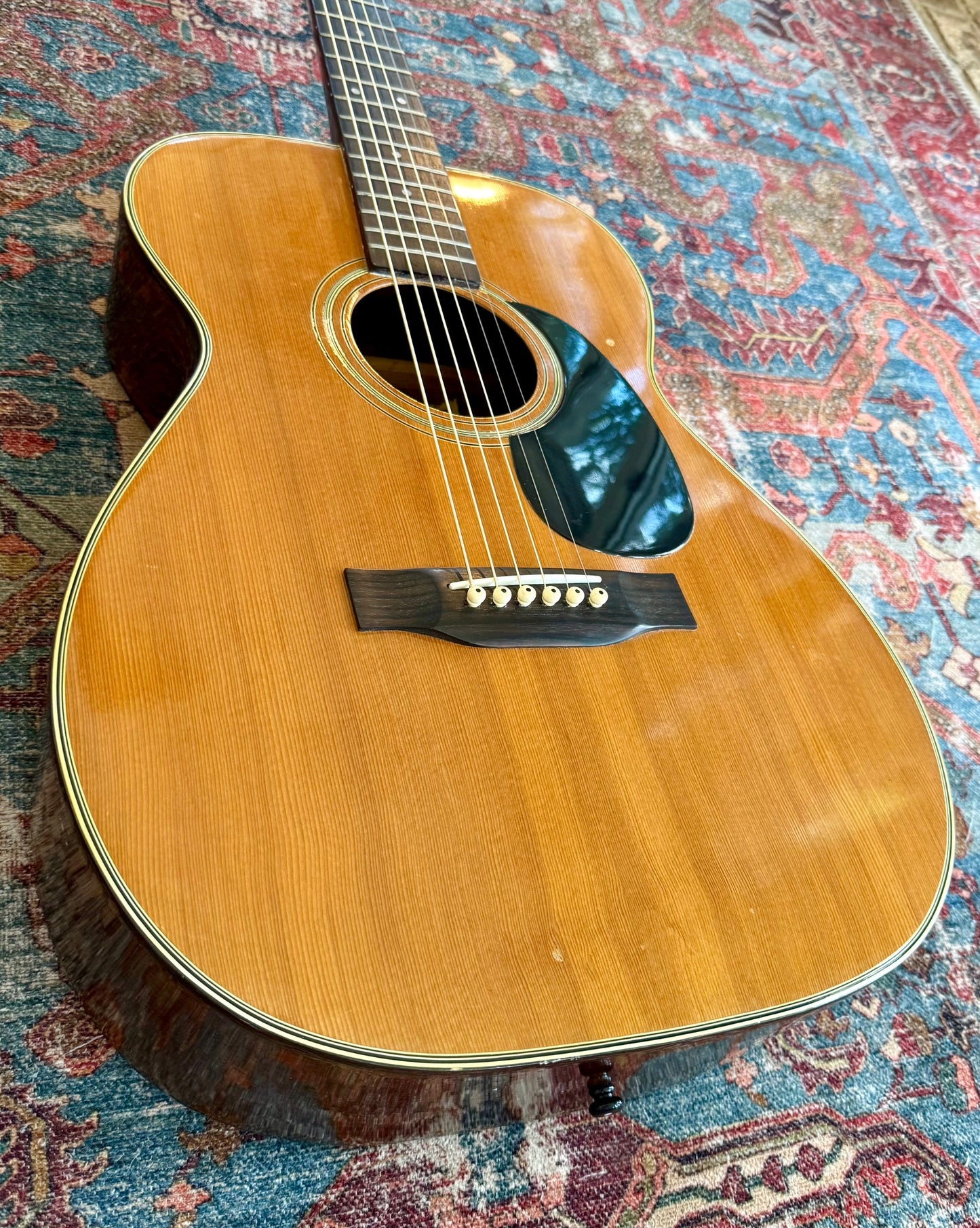 Vintage Epiphone Epi A-10 Norlin 1980 Rare Model