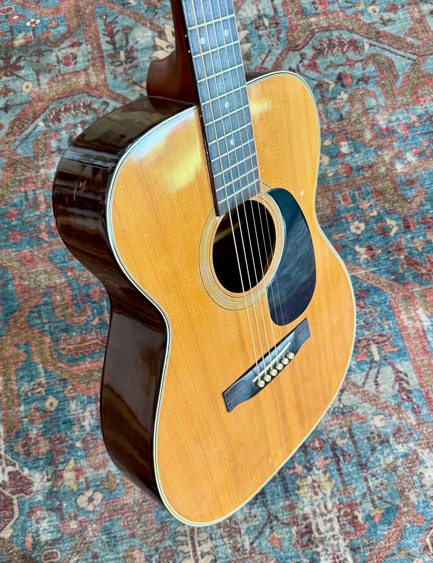 Vintage Epiphone Epi A-10 Norlin 1980 Rare Model