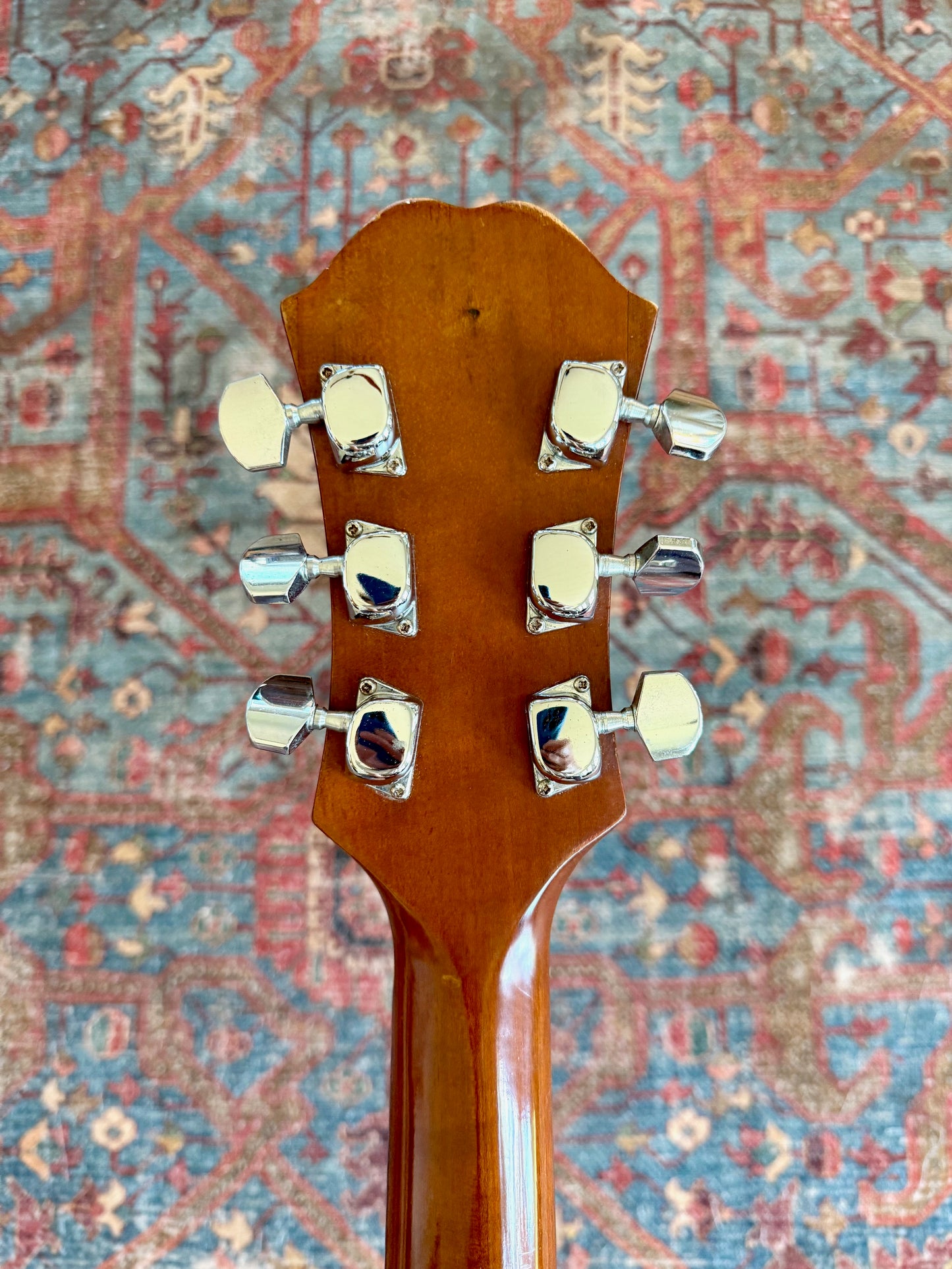 Vintage Epiphone Epi A-10 Norlin 1980 Rare Model