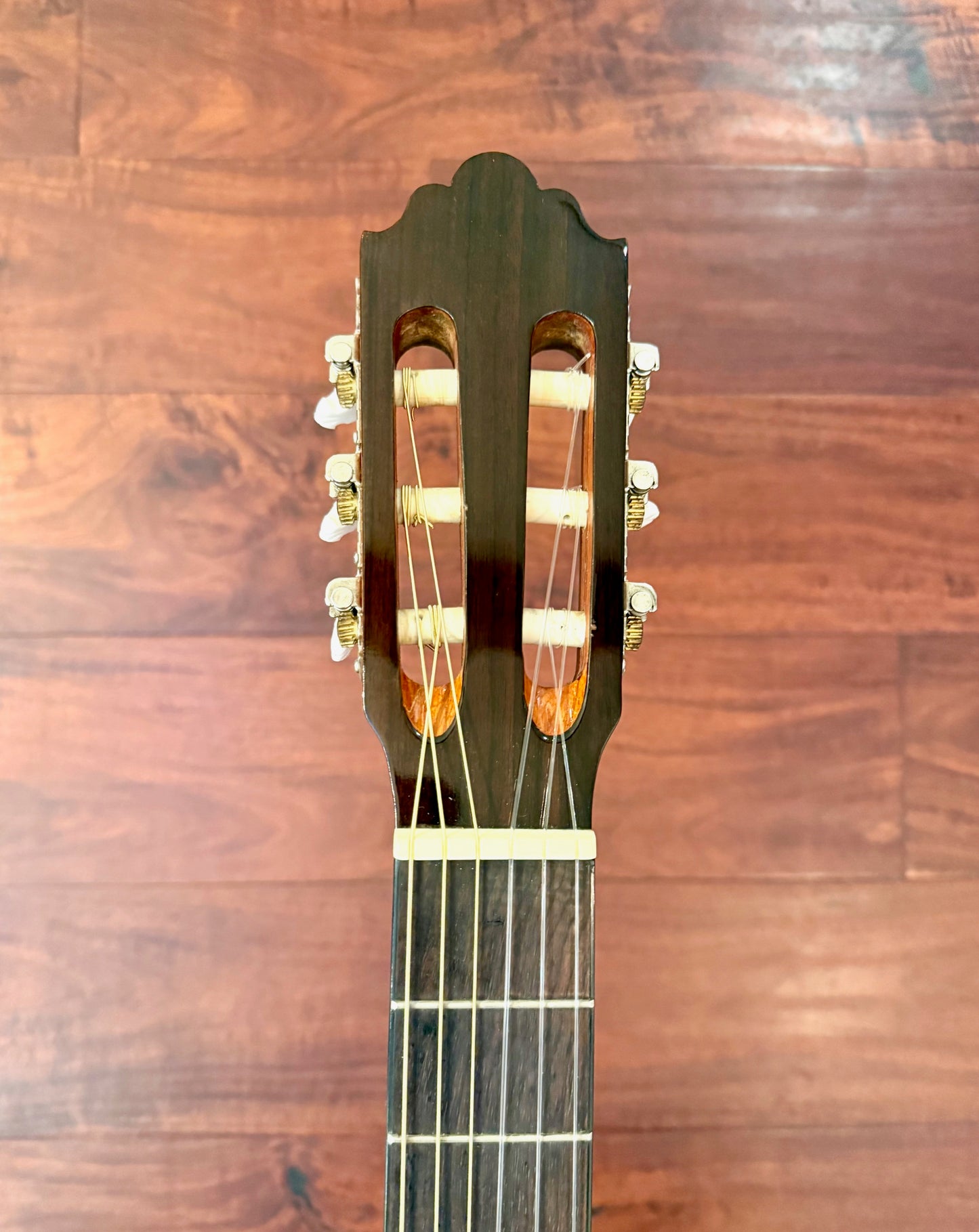 Greg Bennett C2CE Classical Acoustic Electric Guitar