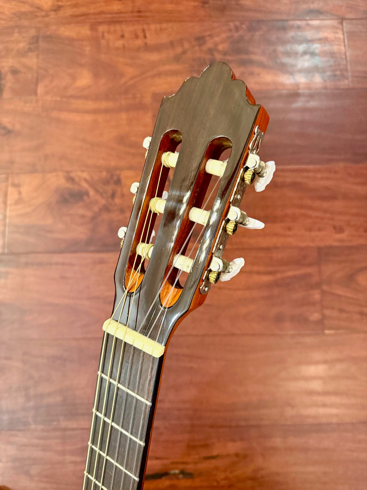 Greg Bennett C2CE Classical Acoustic Electric Guitar