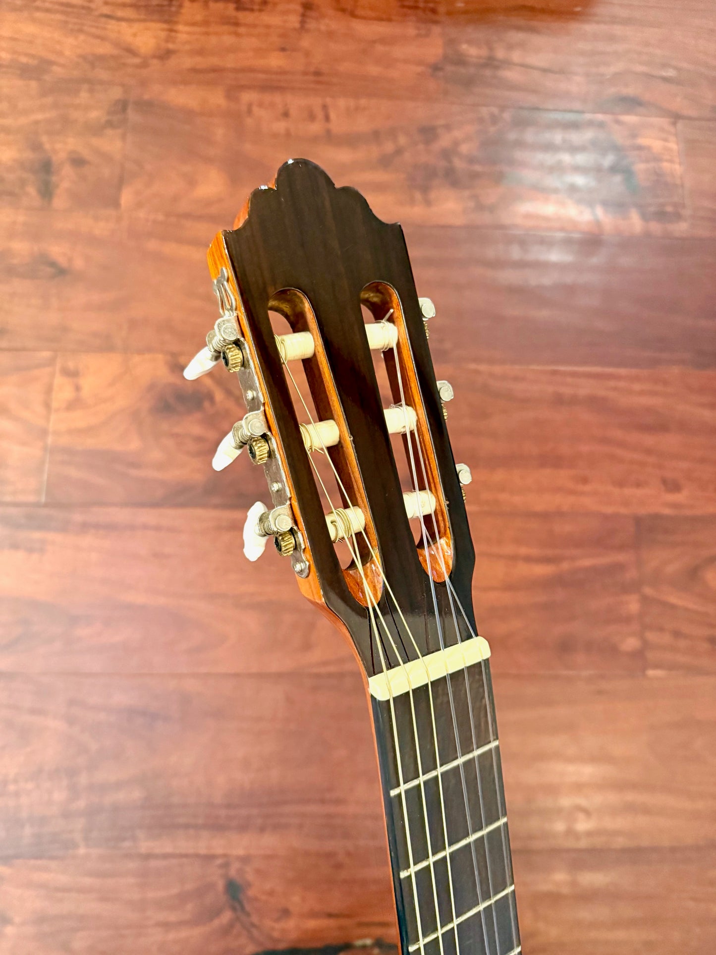 Greg Bennett C2CE Classical Acoustic Electric Guitar