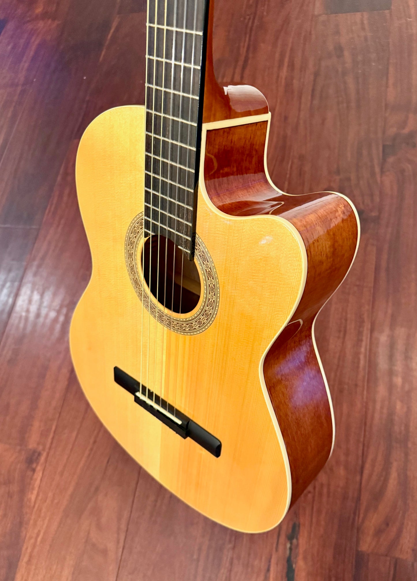 Greg Bennett C2CE Classical Acoustic Electric Guitar