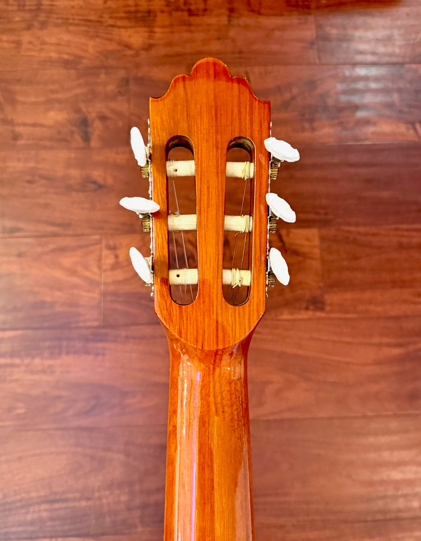 Greg Bennett C2CE Classical Acoustic Electric Guitar
