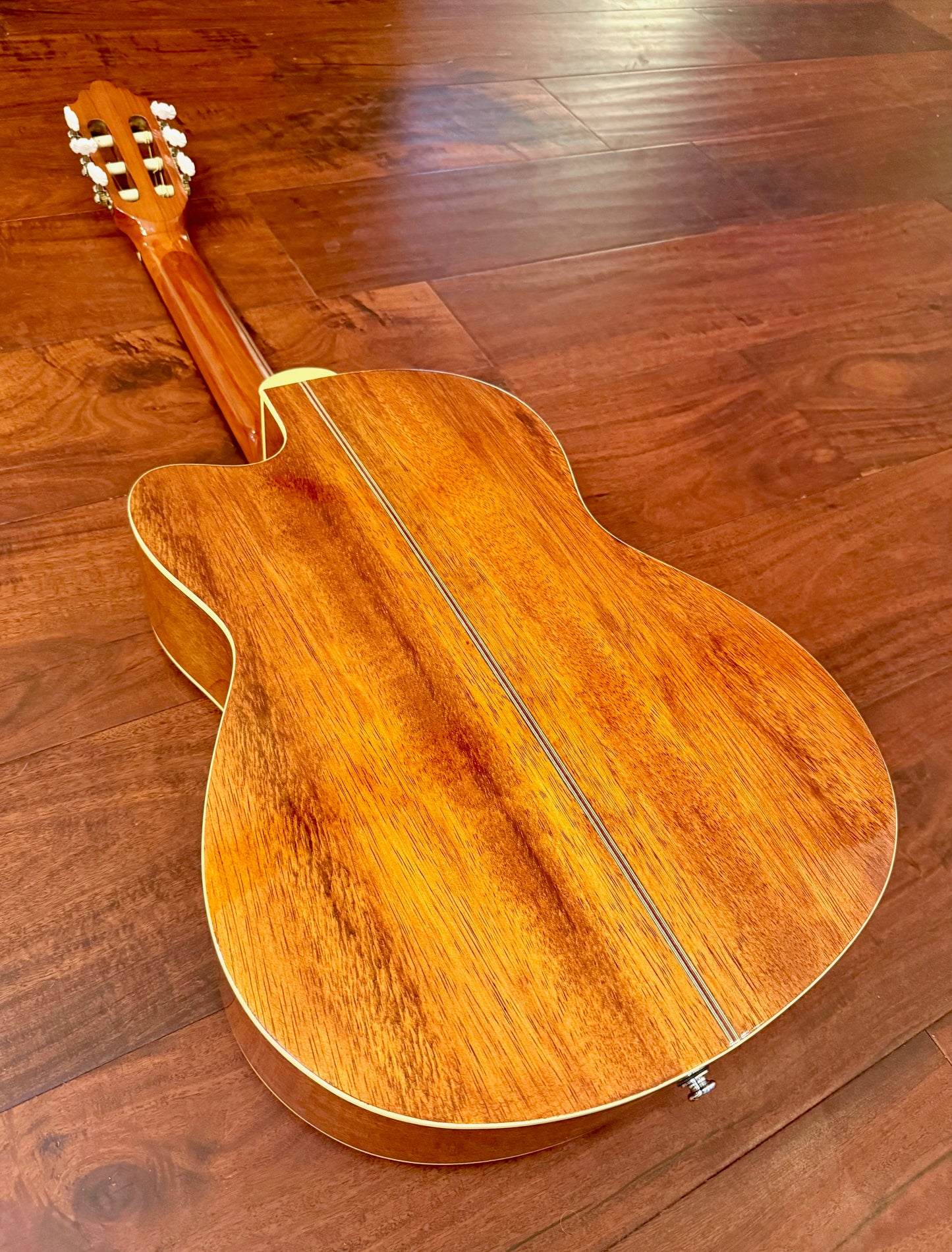 Greg Bennett C2CE Classical Acoustic Electric Guitar