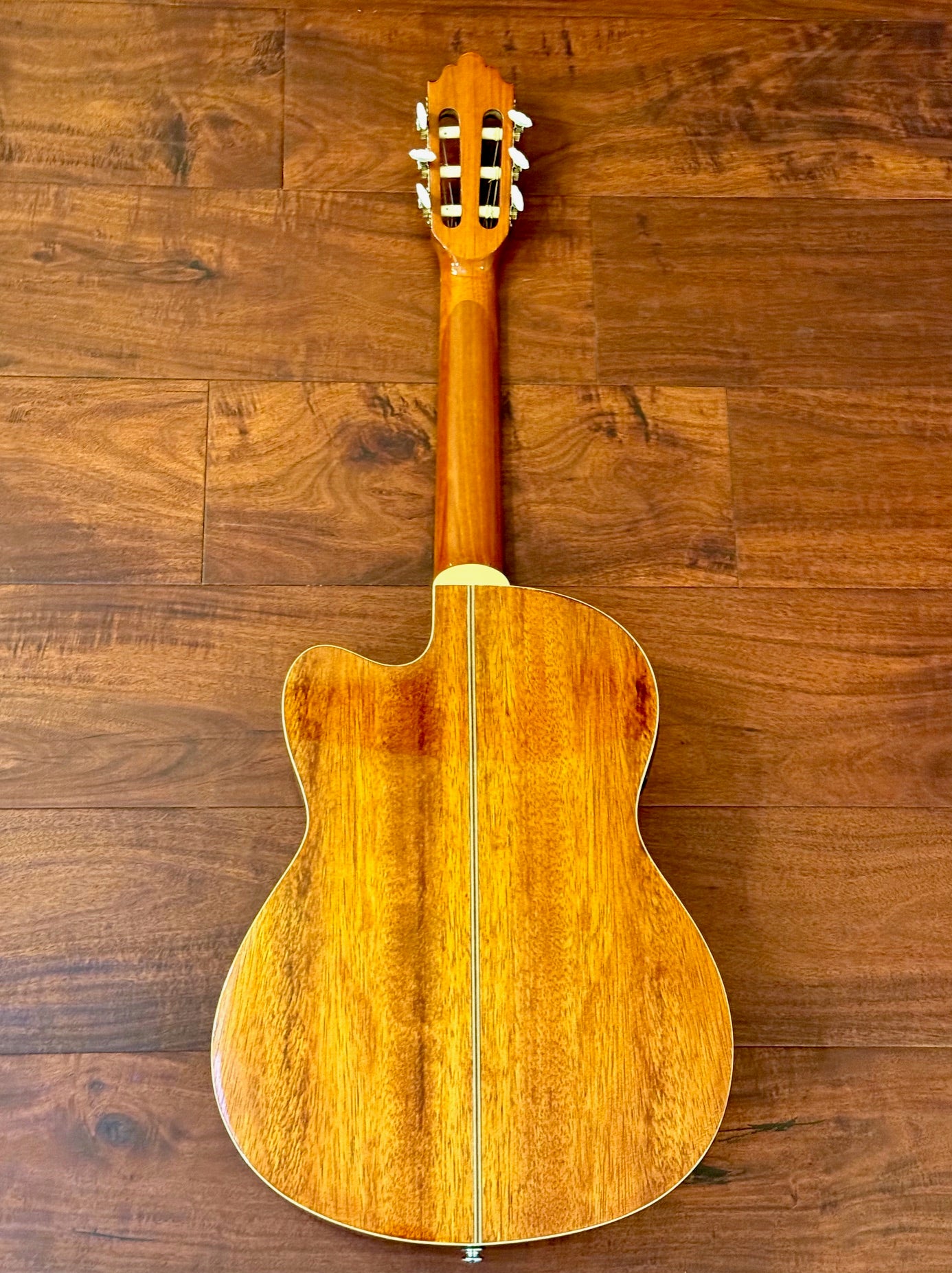 Greg Bennett C2CE Classical Acoustic Electric Guitar