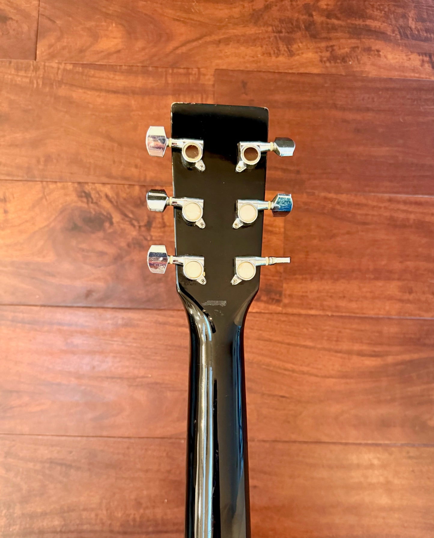 "The Pirate" Eleca Acoustic Guitar DAG-5-Pirate