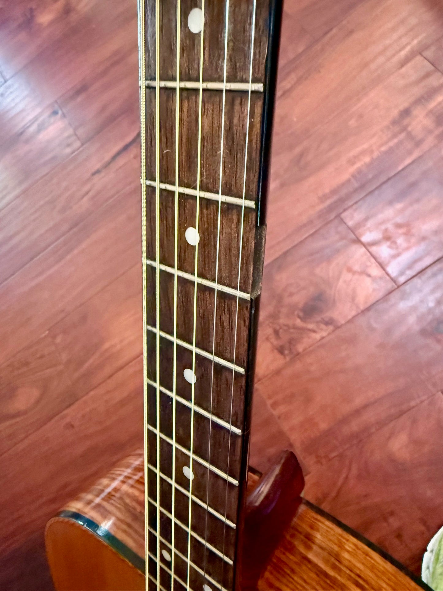 Vintage Palmer P43 Acoustic Guitar
