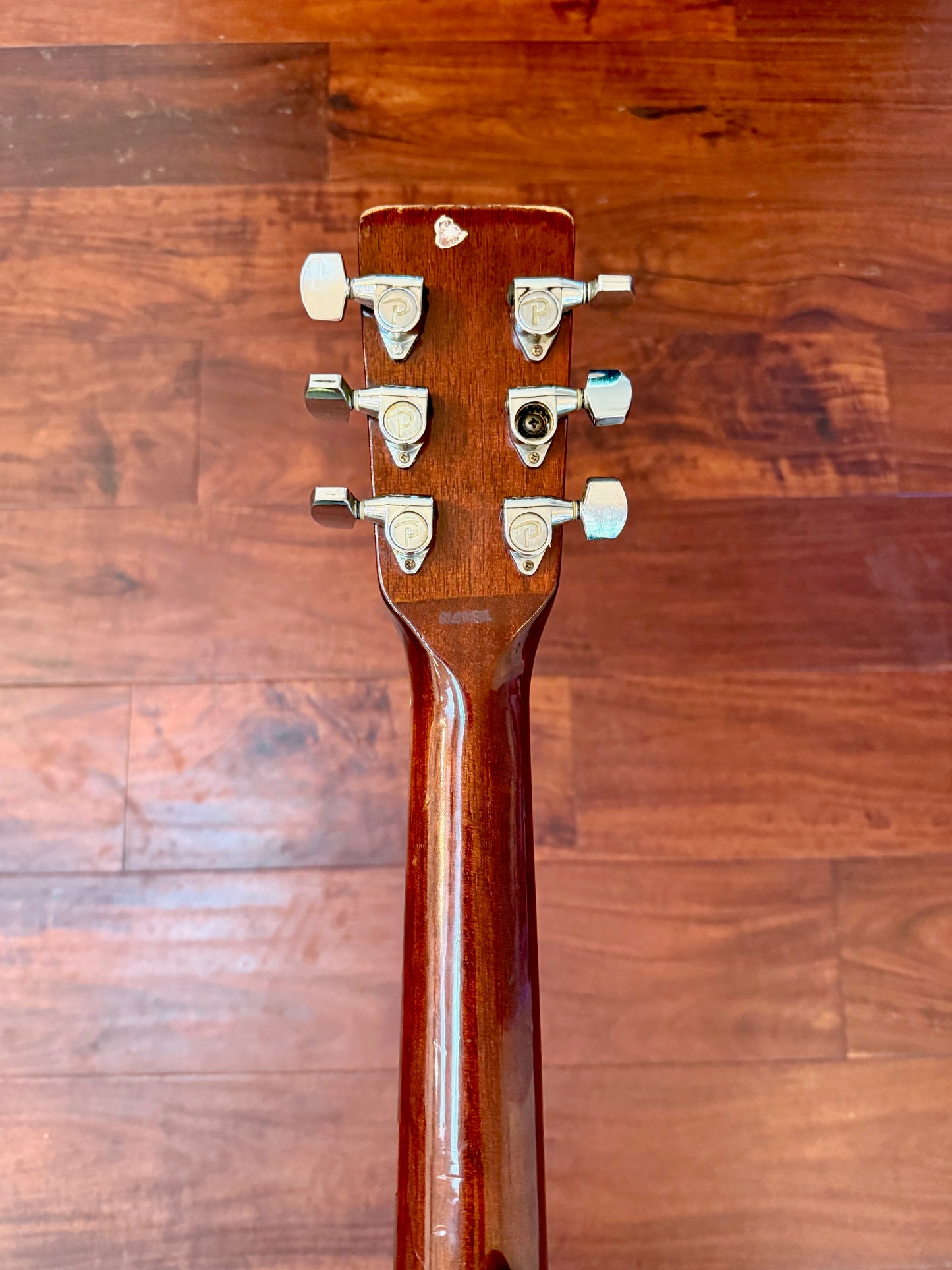 Vintage Palmer P43 Acoustic Guitar