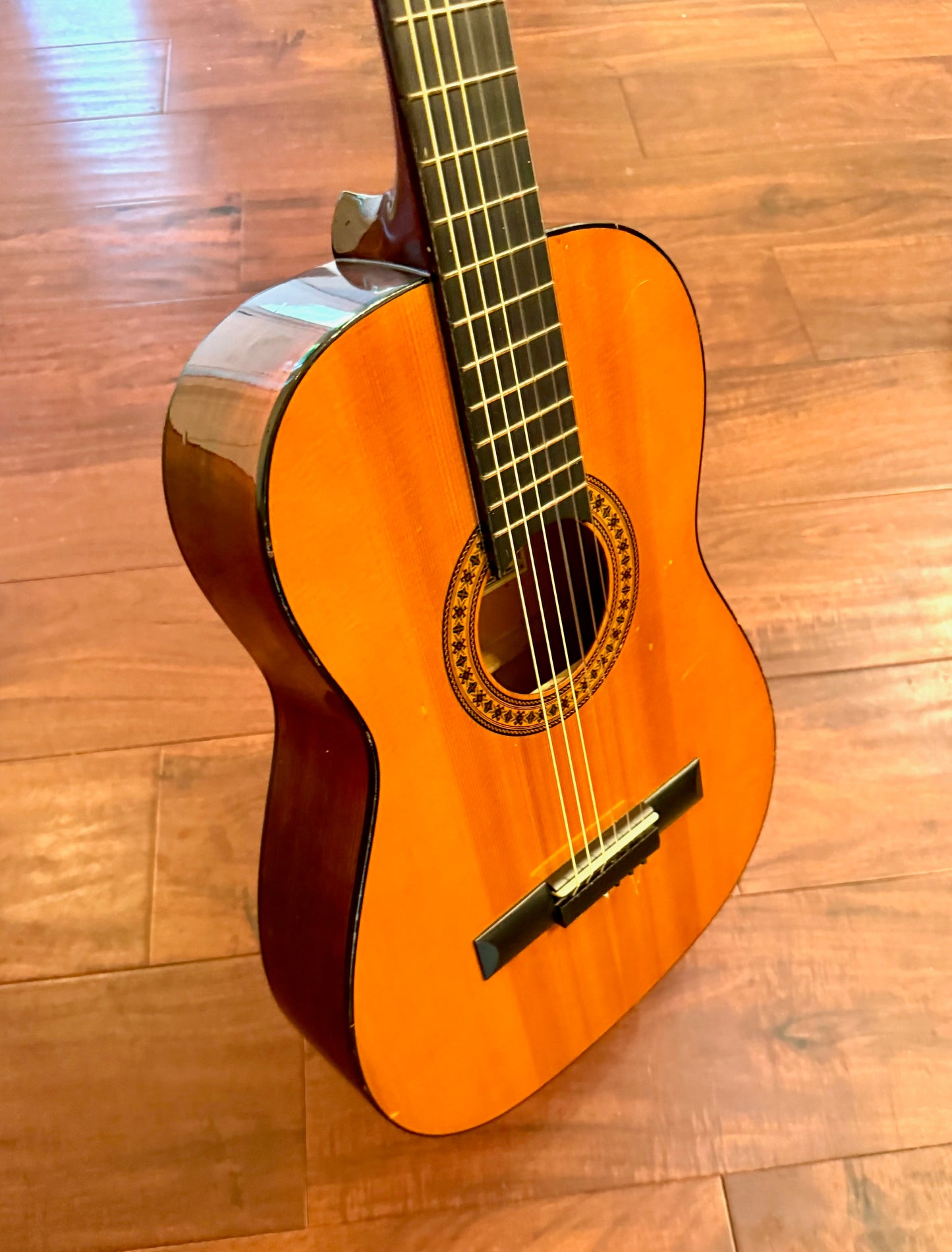 J Reynolds JR15 3/4 Size Classical Acoustic Guitar
