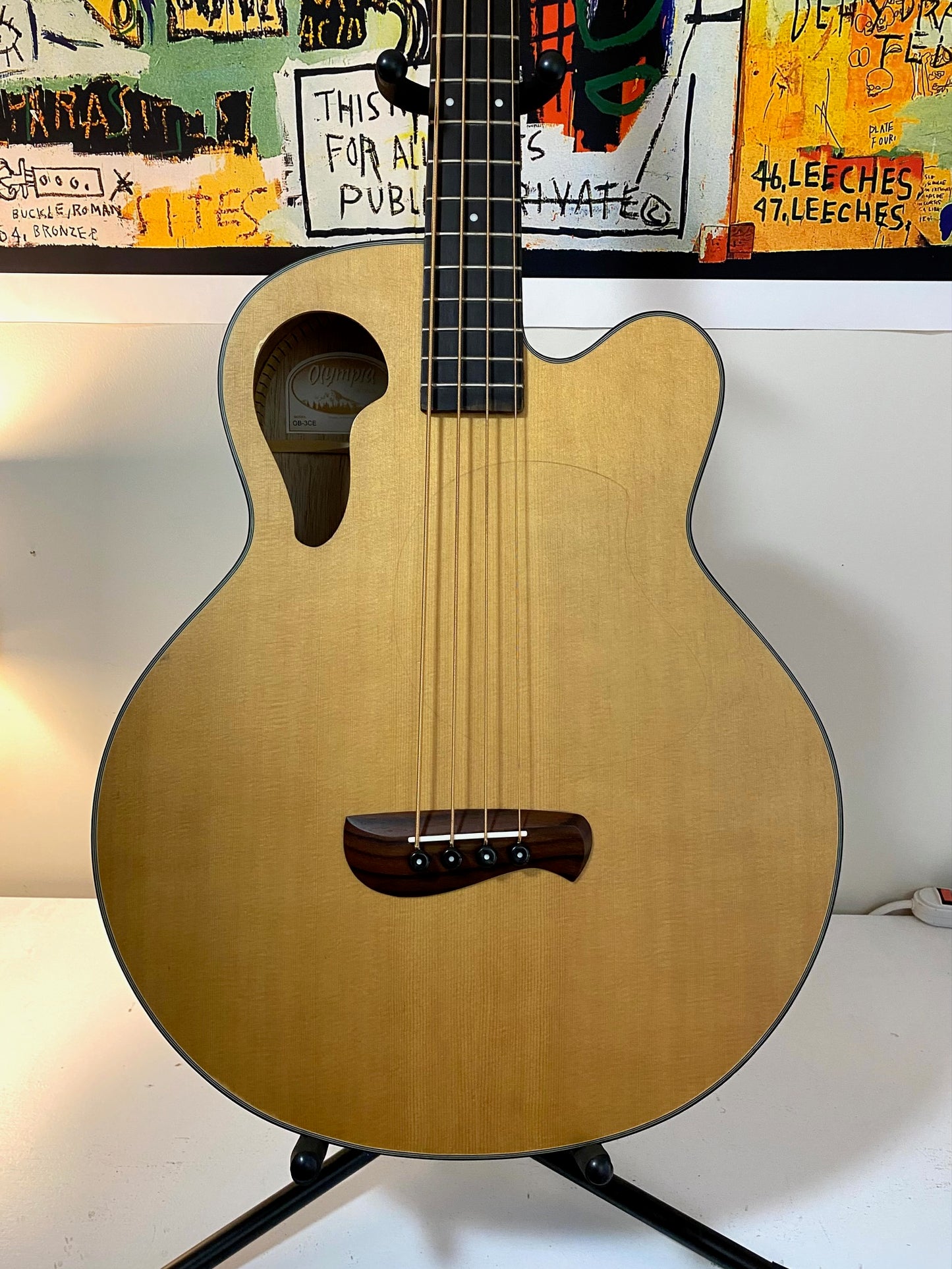 Olympia by Tacoma OB-3CE Acoustic Electric Bass Guitar LIKE NEW