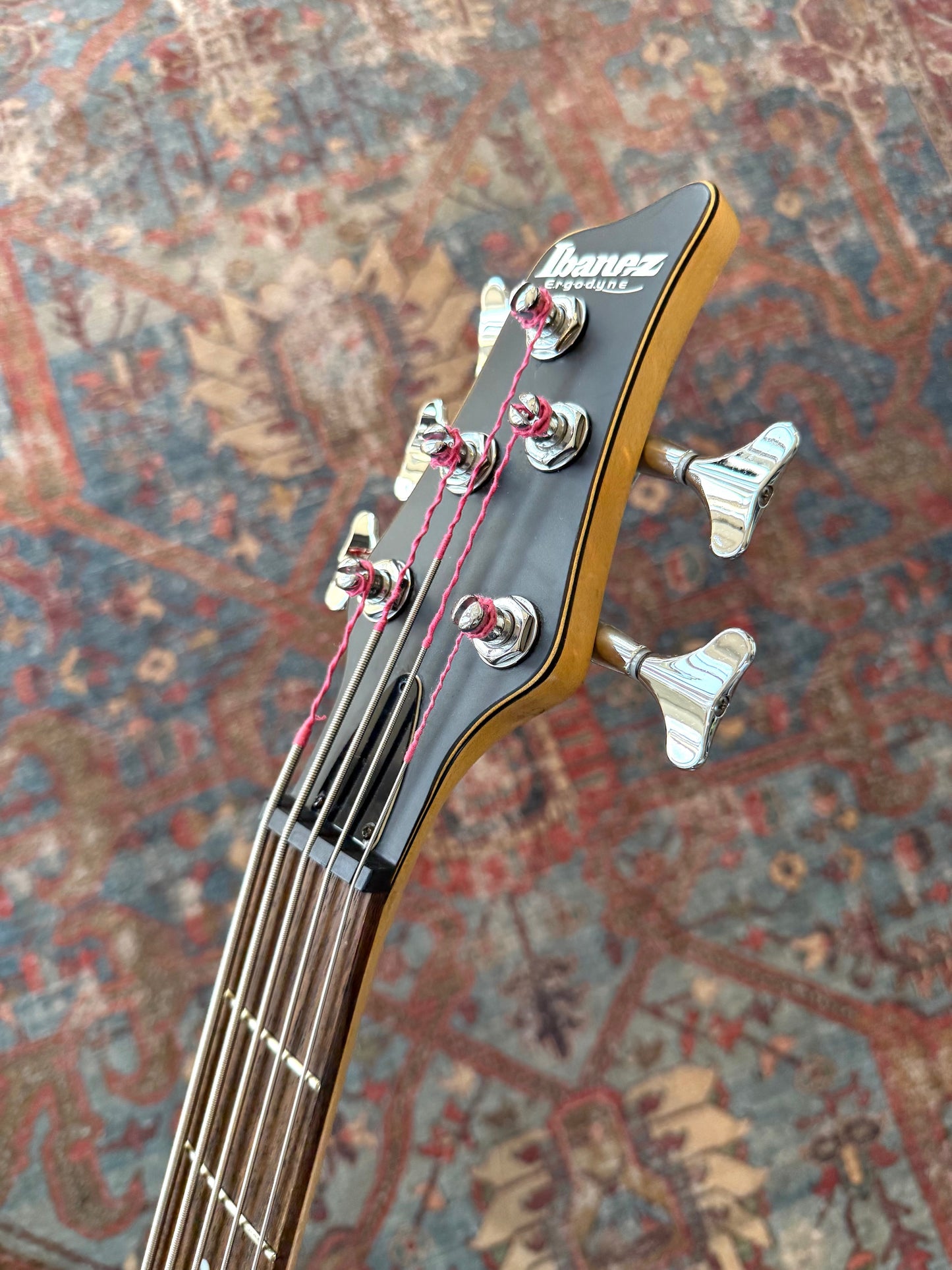 Ibanez Ergodyne EDB405 5-String Electric Bass
