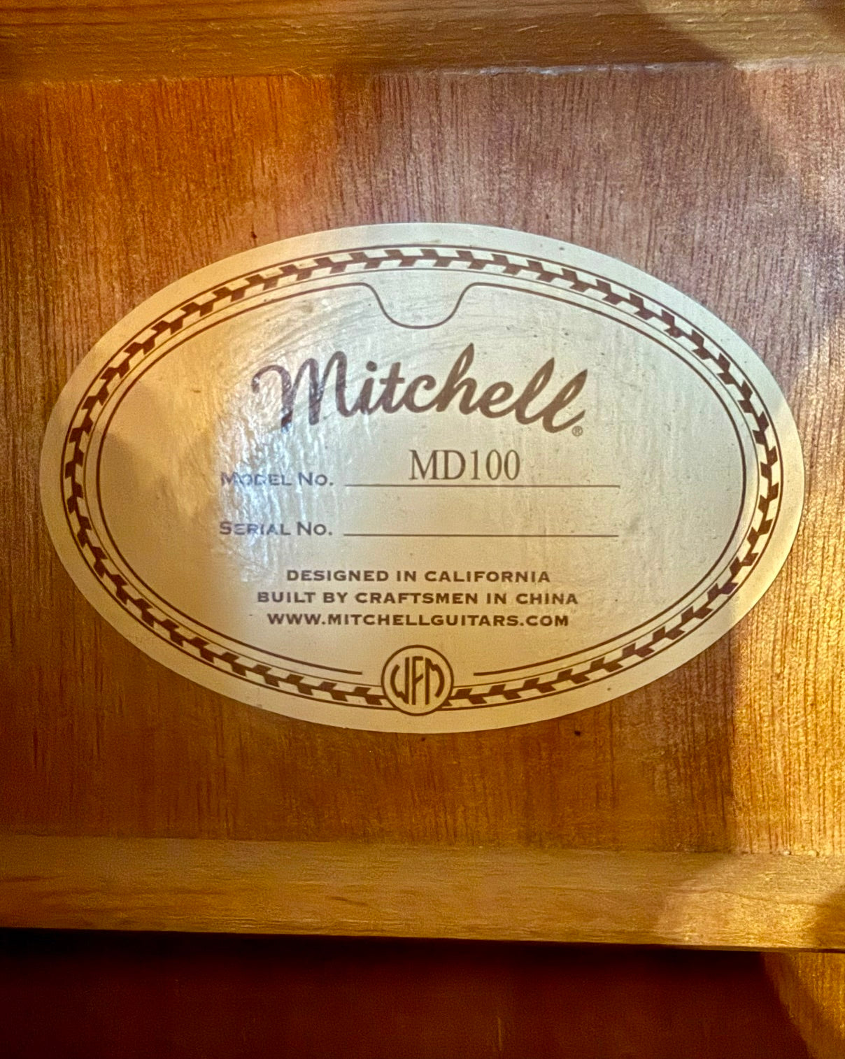 Mitchell MD100 Acoustic Guitar