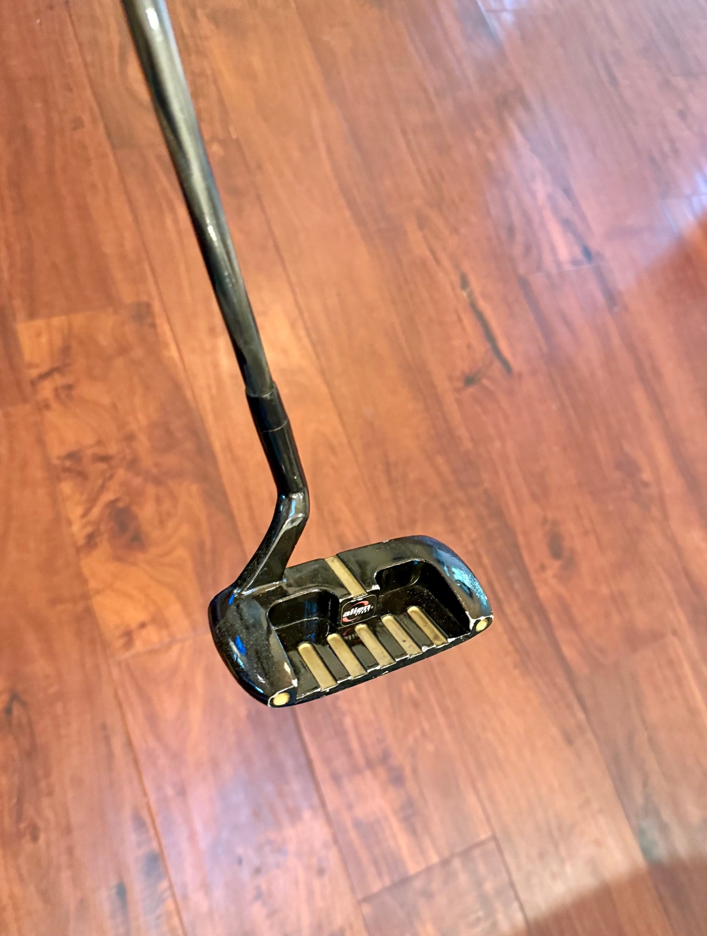 Alien Tutch Mallet RH Putter Golf Club